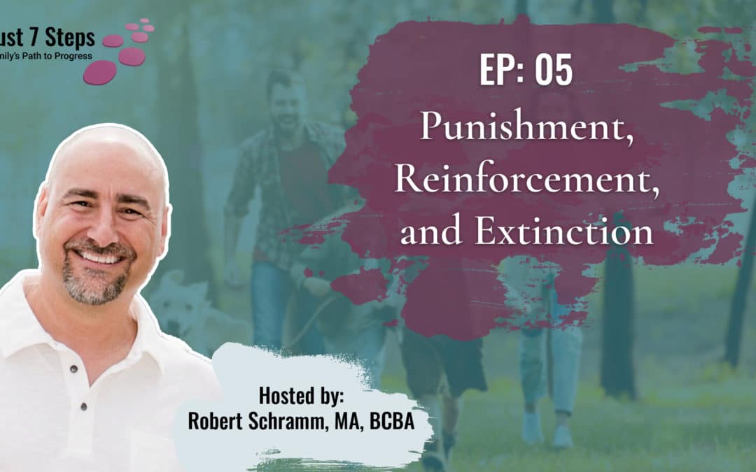 Punishment, Reinforcement, and Extinction