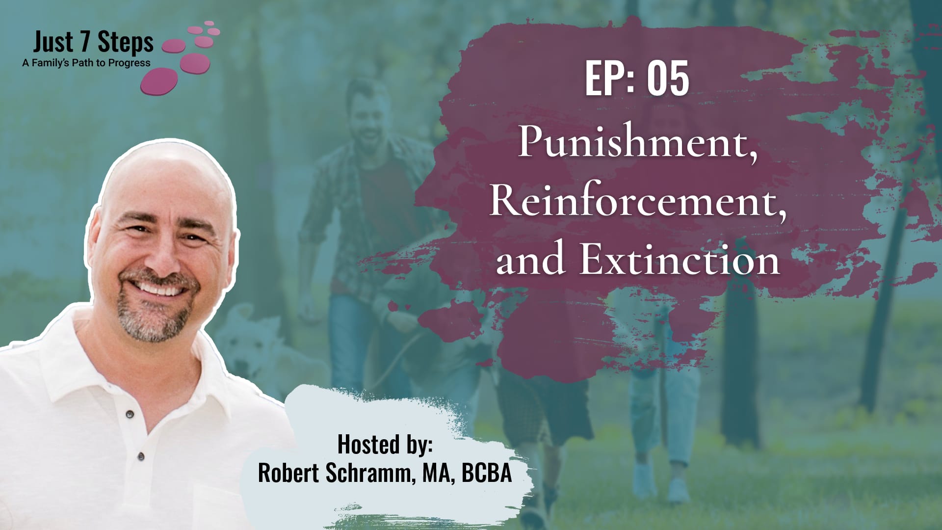 Punishment, Reinforcement, and Extinction